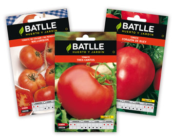Nuevas variedades de semillas de tomate